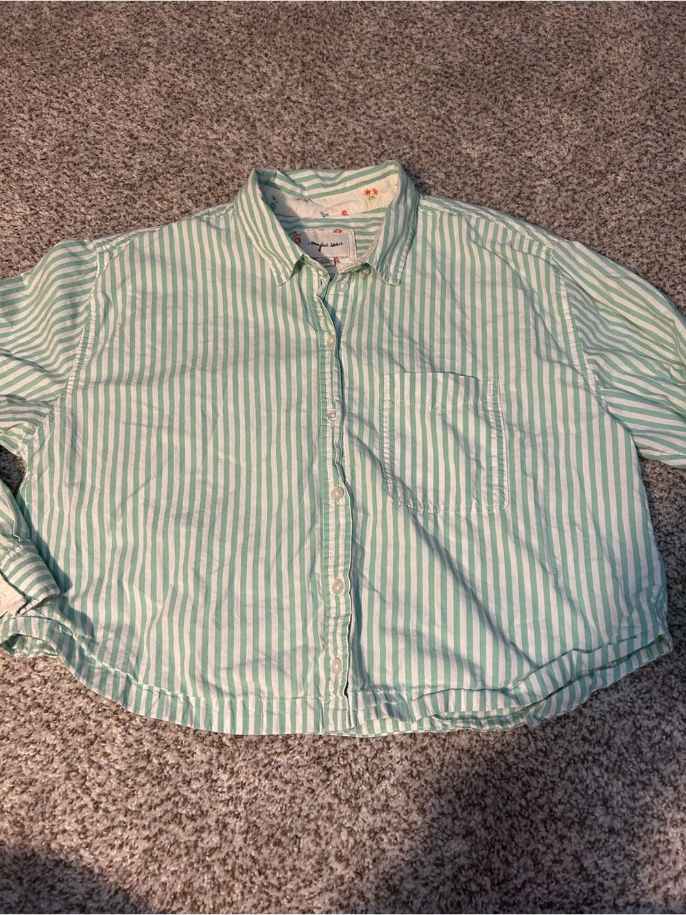 American Eagle Outfitters Mint Green & White Striped Button-Down Cropped Shirt